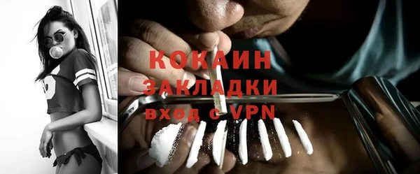 мдпв Каменногорск