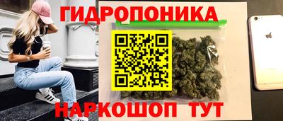 амф Донской