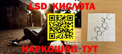 амф Донской