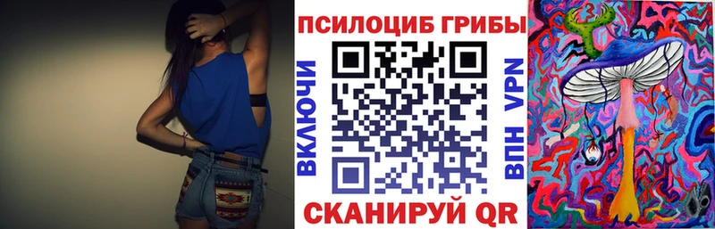как найти   Менделеевск  Галлюциногенные грибы MAGIC MUSHROOMS 