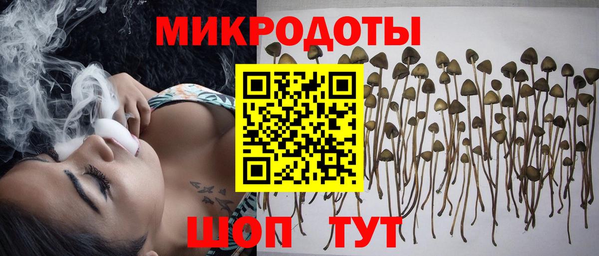 Псилоцибиновые грибы мицелий  купить закладку  Менделеевск  Псилоцибиновые грибы прущие грибы  Вход с VPN 